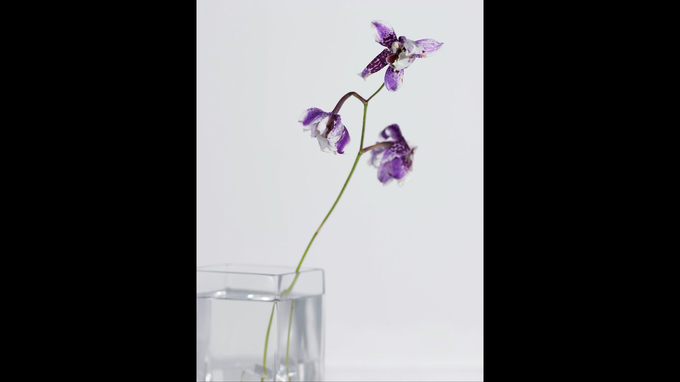 图片[20]-#Masami Nagasawa 长泽雅美 IQUEEN Vol.11 - 全本免费在线观看-阅图吧