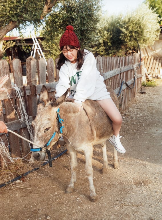 图片[31]-#与田祐希2nd写真集 沉默的时间 - 全本免费在线观看-阅图吧