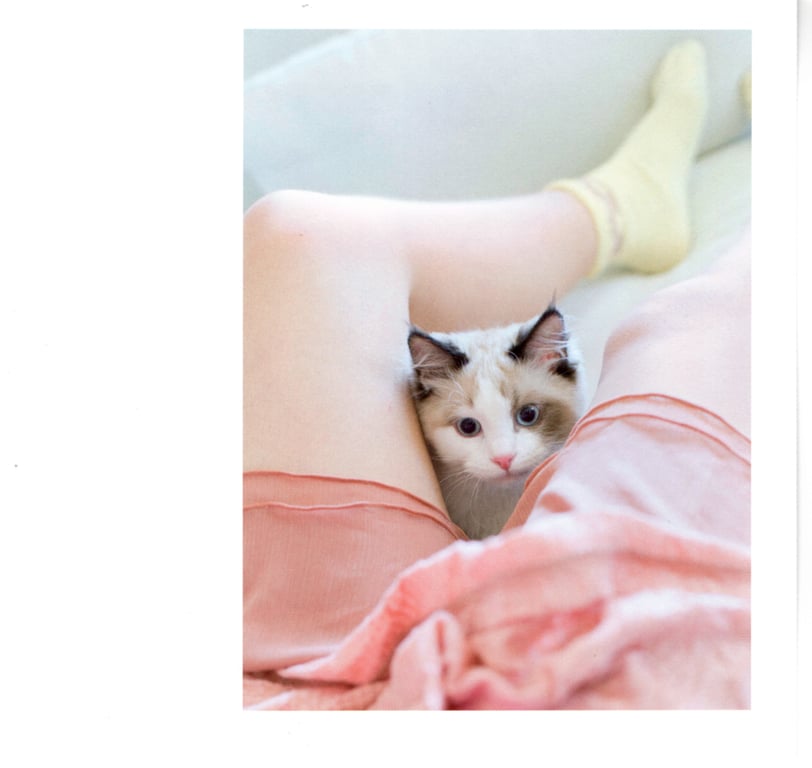图片[59]-#青山裕企 Photobook 26sets\【青山裕企】猫与大腿 - 全本免费在线观看-阅图吧