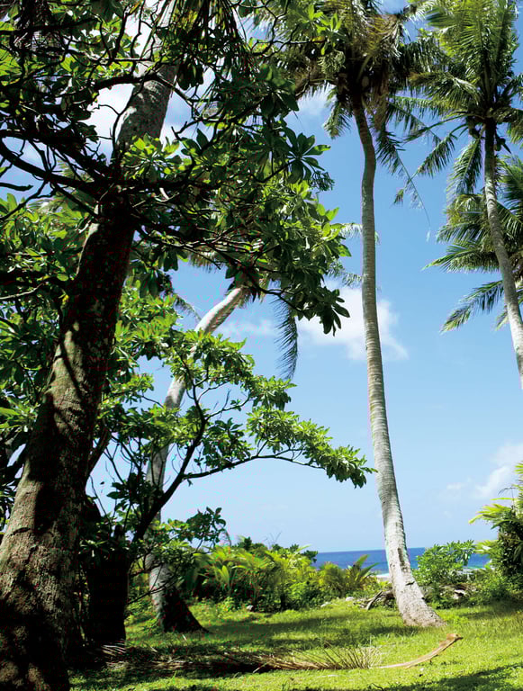 高橋しょう子 写真集『 たかしょー 』[135P] -3-阅图吧