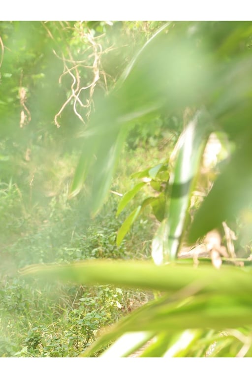 图片[23]-#Miyabi Iino – icon - 全本免费在线观看-阅图吧