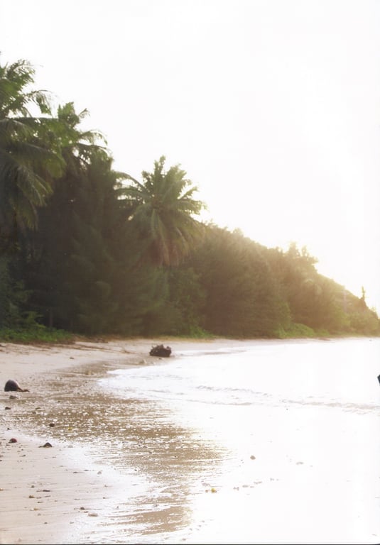 图片[93]-#熊井友理奈写真集 FLOWERAGE (2009.07.25) - 全本免费在线观看-阅图吧