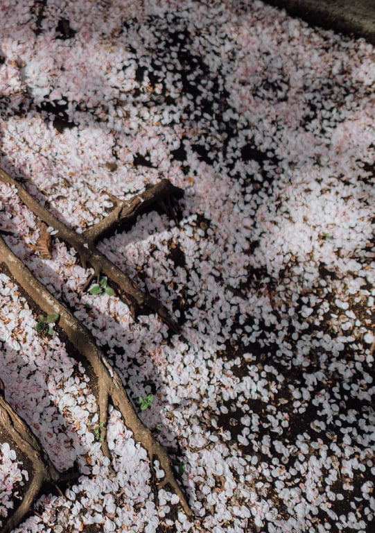 图片[112]-#七ツ森りりデジタル写真集 被拍走(No Watermark) - 全本免费在线观看-阅图吧