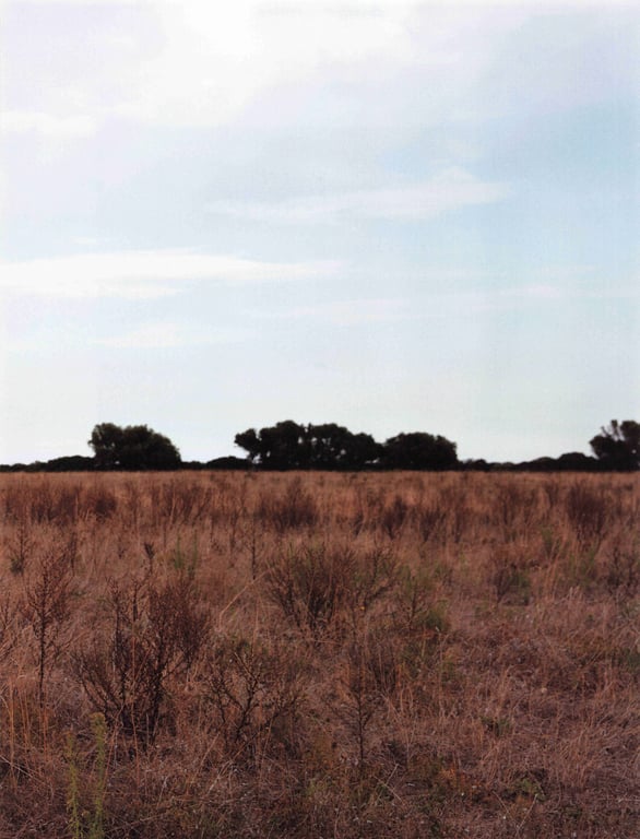 图片[23]-#乃木坂46 秋元真夏2nd写真集 『想让你幸福』Low - 全本免费在线观看-阅图吧