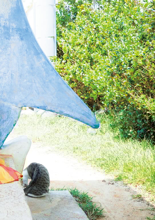 图片[46]-#Mio Imada 今田美樱首本写真集「生命力」 (2018.10.31) - 全本免费在线观看-阅图吧