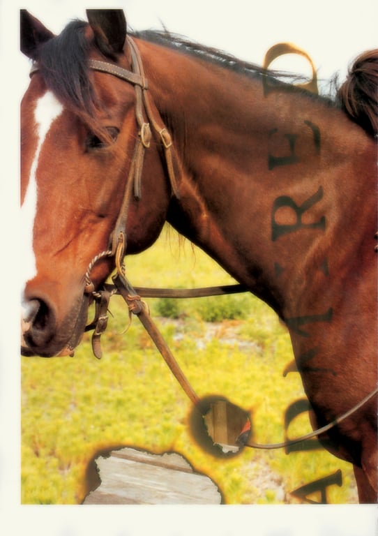 图片[54]-#(月刊系列 048) – 月刊048 伊藤裕子 - 全本免费在线观看-阅图吧