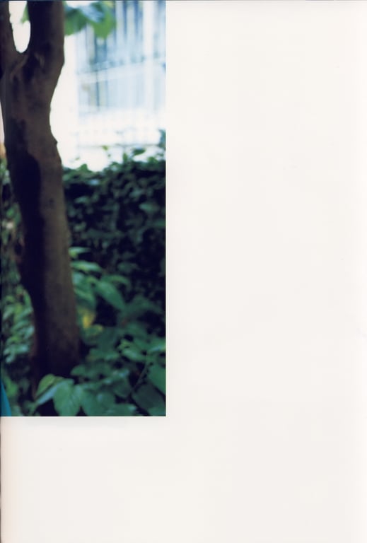 图片[39]-#Maimi Yajima 矢岛舞美 1st Photobook – Maimi 舞美 (2007-04-25) - 全本免费在线观看-阅图吧