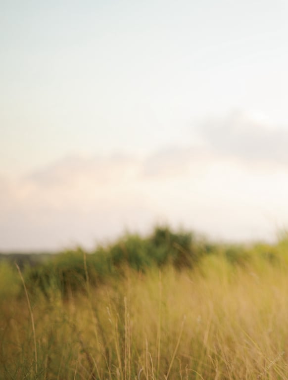 图片[113]-#Ravish 美谷朱里写真集 Asagei SEXY女优写真集 - 全本免费在线观看-阅图吧