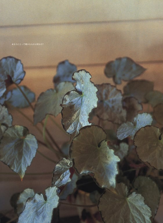 图片[9]-#相楽のり子 写真集 on／off - 全本免费在线观看-阅图吧