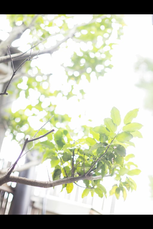 图片[92]-妃ひかり 开放式淋浴写真集 光照射的方向 - 在线免费观看-阅图吧