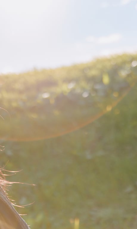 图片[35]-#【数字限定】神木丽写真集「斯堪的纳维亚」 (週プレ PHOTO BOOK) - 全本免费在线观看-阅图吧