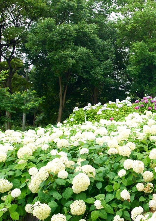 图片[32]-#Rika Nagae 长江里加 – 1st Photobook Recolor (2023-02-22) - 全本免费在线观看-阅图吧