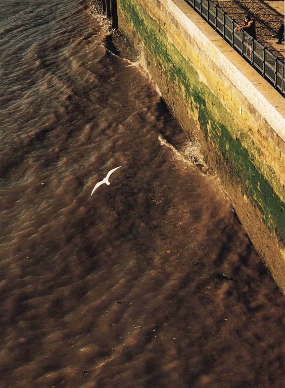 图片[105]-#小林由依1st写真集「感情的构图」Low - 全本免费在线观看-阅图吧