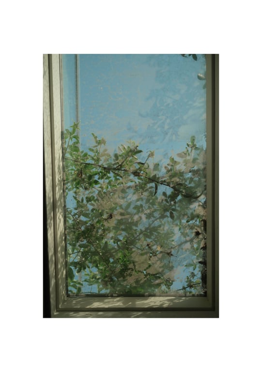 图片[146]-#石川澪《被夺走》 - 全本免费在线观看-阅图吧