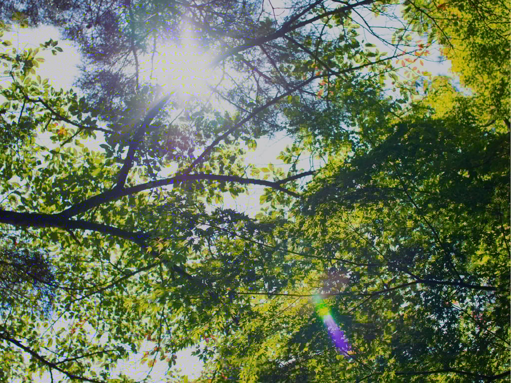 图片[6]-宮村奈奈子 ヌード写真集 SEVENTH HEAVEN - 在线免费观看-阅图吧