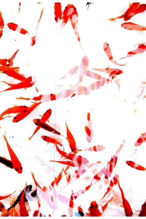 图片[32]-#Mariya Nagao 永尾玛丽亚 – Mabui! Mariya 魂! 玛丽亚。 (2017-10-26) - 全本免费在线观看-阅图吧