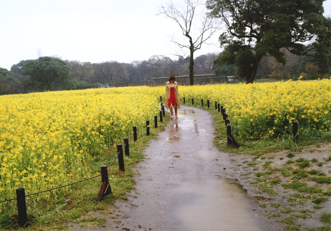 图片[35]-#(月刊シリーズ 057) – 月刊057 佐藤珠绪Special - 全本免费在线观看-阅图吧