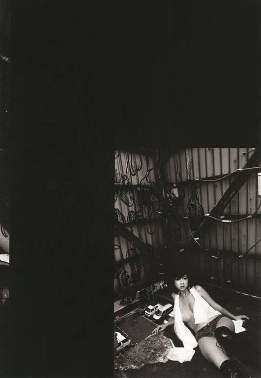 图片[29]-#(月刊シリーズ 070) – 月刊070 星野亚希 (ham scan) - 全本免费在线观看-阅图吧