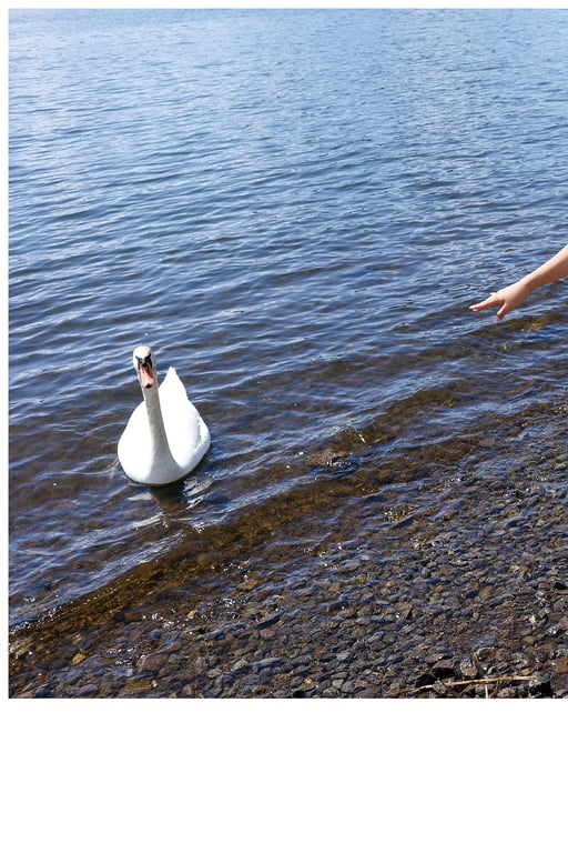 图片[11]-#EMILY – The clear season 澄澈的季节 (2022-07-08) - 全本免费在线观看-阅图吧