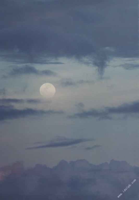 图片[116]-#武井咲 写真集 风中的少女 - 全本免费在线观看-阅图吧