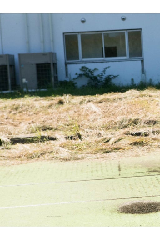 图片[11]-#resonance 镇西寿寿歌 - 全本免费在线观看-阅图吧