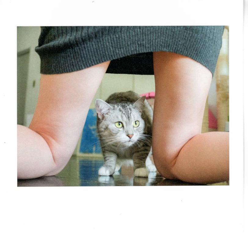 图片[35]-#青山裕企 Photobook 26sets\【青山裕企】猫与大腿 - 全本免费在线观看-阅图吧