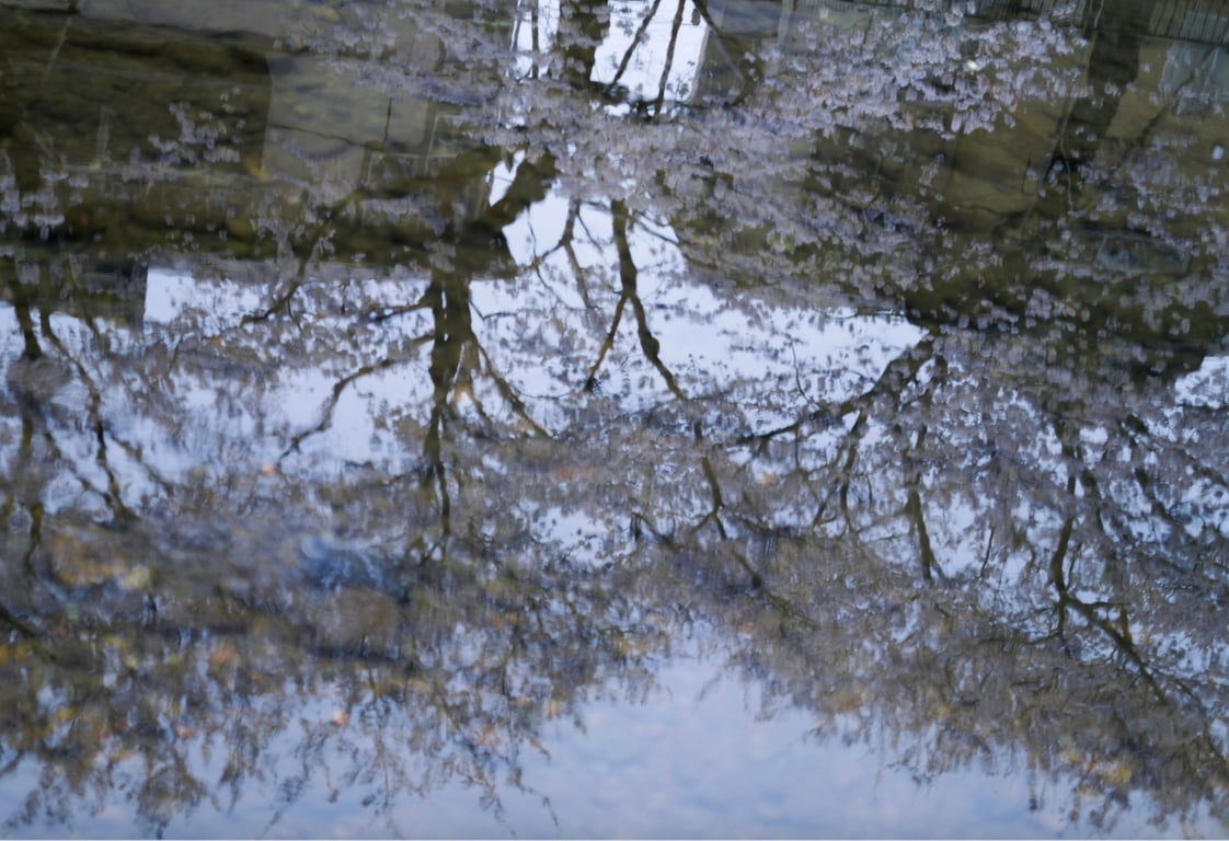 图片[44]-#小仓七海 数字写真集 とられち - 全本免费在线观看-阅图吧