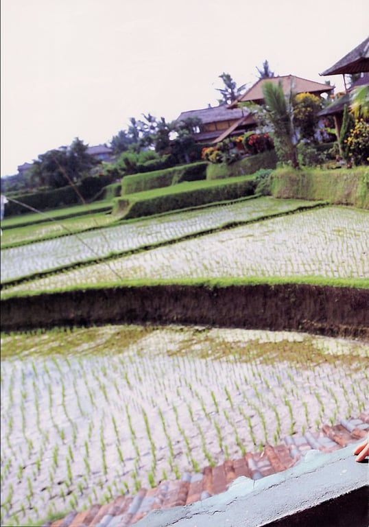 图片[66]-#小倉優子 – 恋心 - 全本免费在线观看-阅图吧