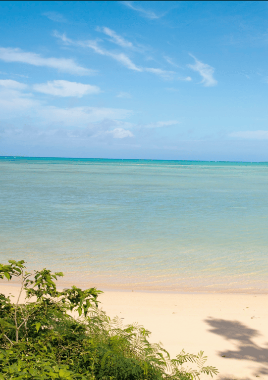 图片[3]-#渚光希 写真集「PRISM」(alarm) - 全本免费在线观看-阅图吧