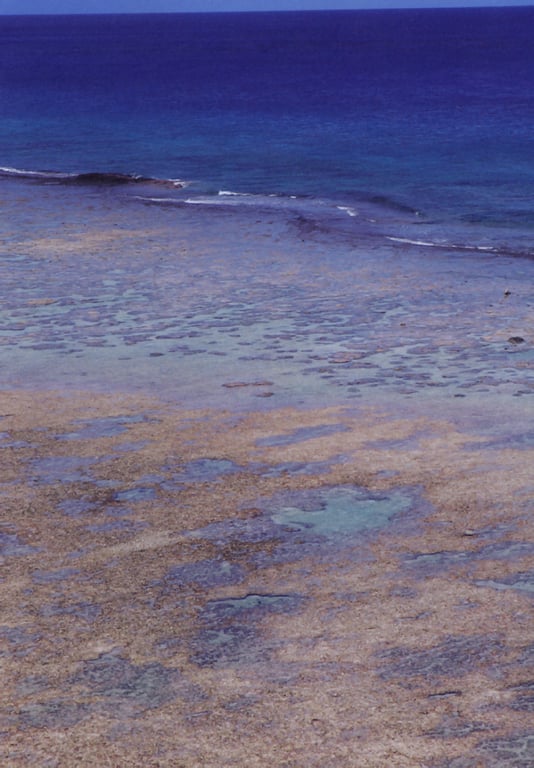 图片[2]-#小野真由美 – 笑颜之本 - 全本免费在线观看-阅图吧