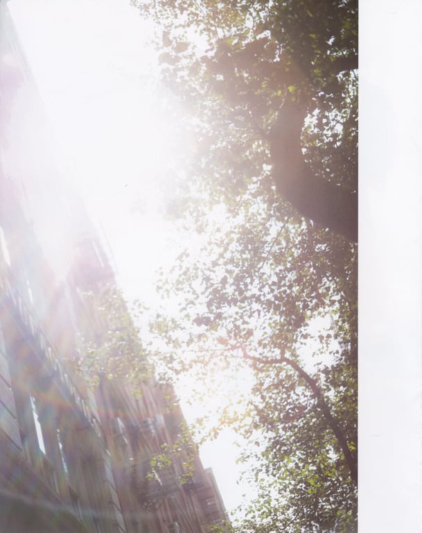 图片[78]-#生田絵梨花写真集 幕间 [LQ] - 全本免费在线观看-阅图吧