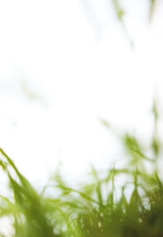 图片[3]-#Sayumi Michishige 道重沙由美 – 美ルフィーユ Millefeuille (2013.01.27) - 全本免费在线观看-阅图吧