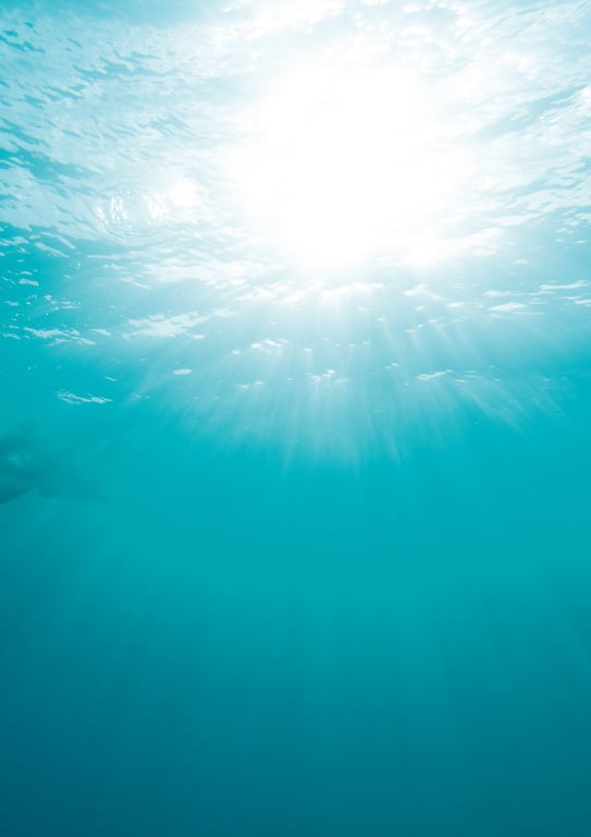 图片[104]-#アサ芸SEXY女優写真集 美乃すずめ写真集 nymph - 全本免费在线观看-阅图吧