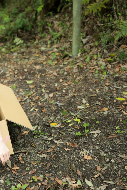 图片[4]-#FLASHデジタル写真集 森ふう花 おんがえし。(2022-10-14 ) - 全本免费在线观看-阅图吧