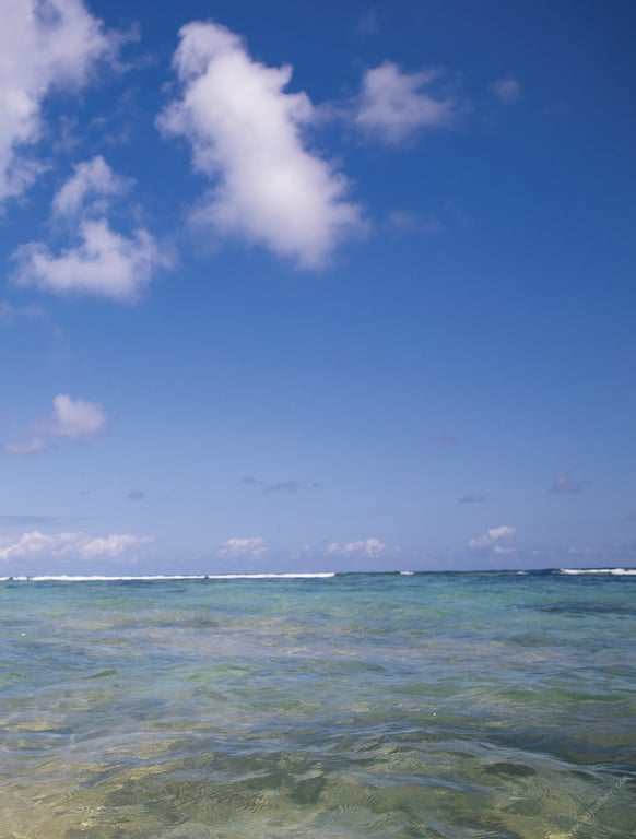 图片[51]-Nozomi Ishihara 石原希望 – Hopeful (2020-10-30) - 阅图吧-阅图吧