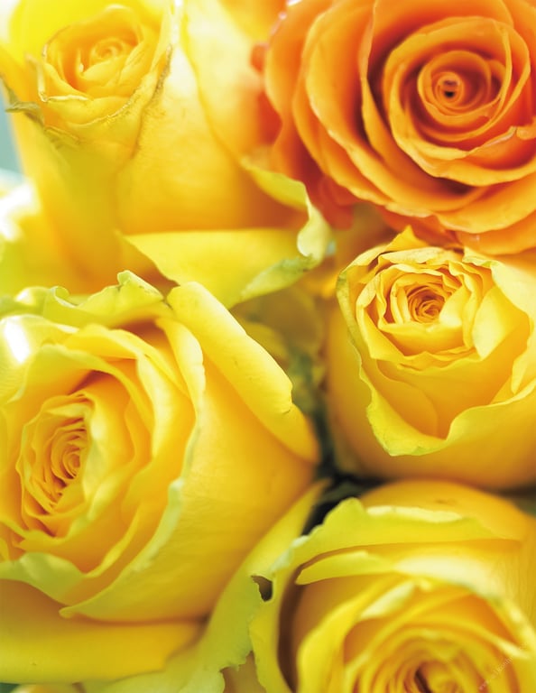 图片[118]-2019.09.20 Masquerade -假面舞会- 葵司 アサ芸SEXY女演员写真集 - 在线免费观看-阅图吧