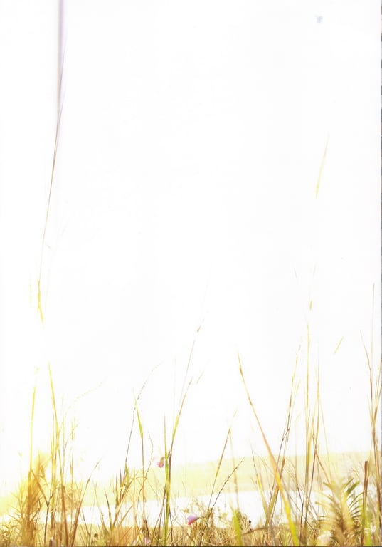 图片[55]-#熊井友理奈写真集 FLOWERAGE (2009.07.25) - 全本免费在线观看-阅图吧