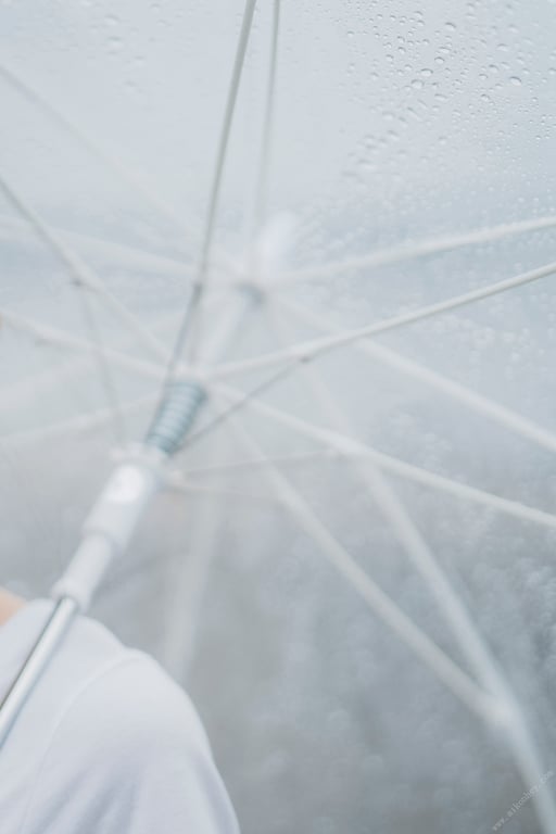 图片[40]-#FLASHデジタル写真集 小野寺梓 梦的延续 - 全本免费在线观看-阅图吧