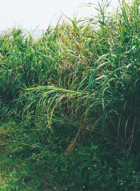 图片[111]-#松下玲绪菜2nd写真集 in the seasons - 全本免费在线观看-阅图吧