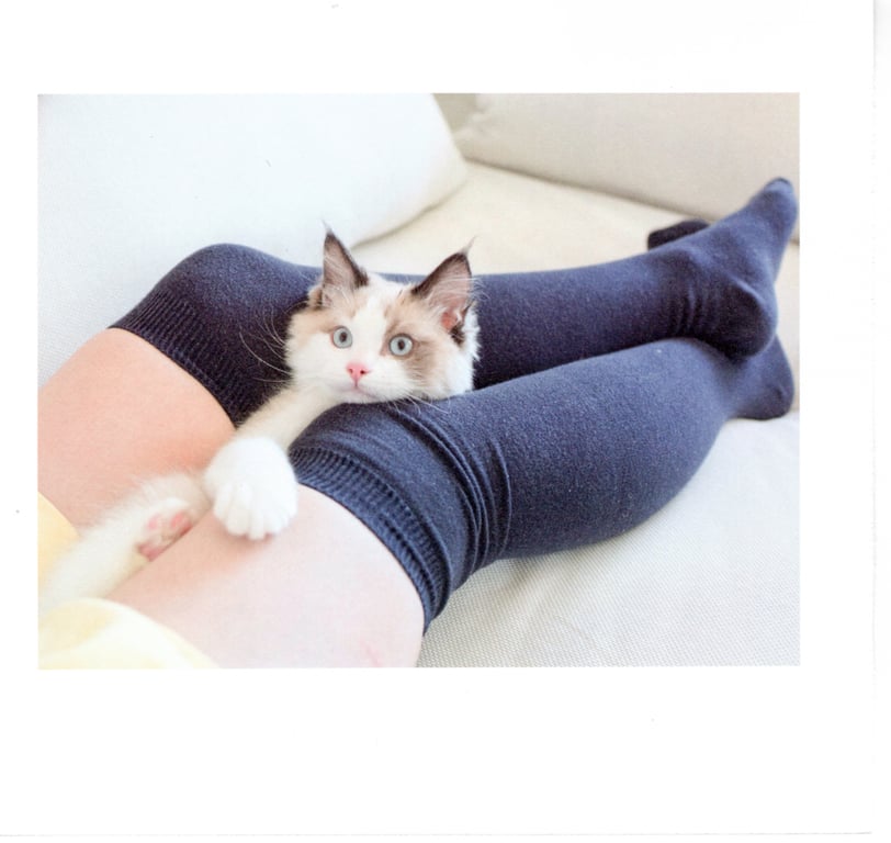 图片[60]-#青山裕企 Photobook 26sets\【青山裕企】猫与大腿 - 全本免费在线观看-阅图吧