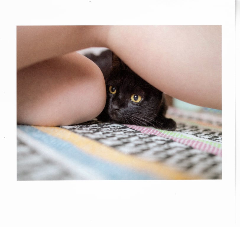 图片[21]-#青山裕企 Photobook 26sets\【青山裕企】猫与大腿 - 全本免费在线观看-阅图吧