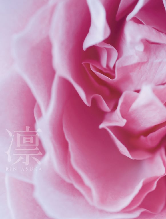 图片[3]-#飛鳥凛写真集『凛』 - 全本免费在线观看-阅图吧