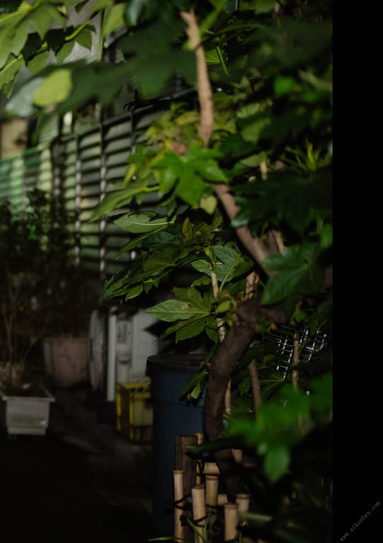 图片[27]-#NEWLOOK【girl meets street】神宫寺奈绪 - 在线免费观看-阅图吧