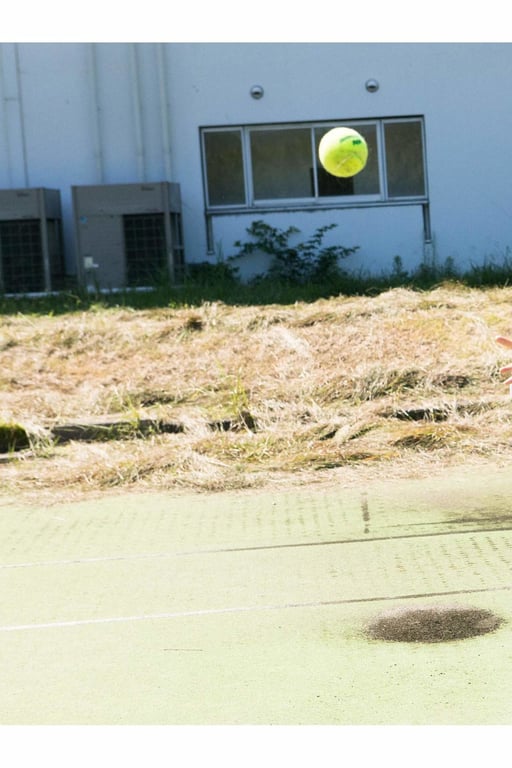 图片[8]-#resonance 镇西寿寿歌 - 全本免费在线观看-阅图吧