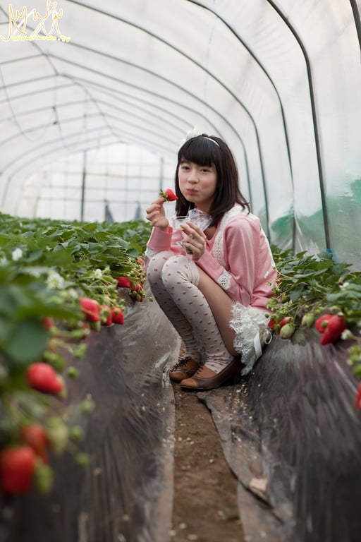 图片[41]-牧原あゆ 『純真無垢 special』 - 在线免费观看-阅图吧