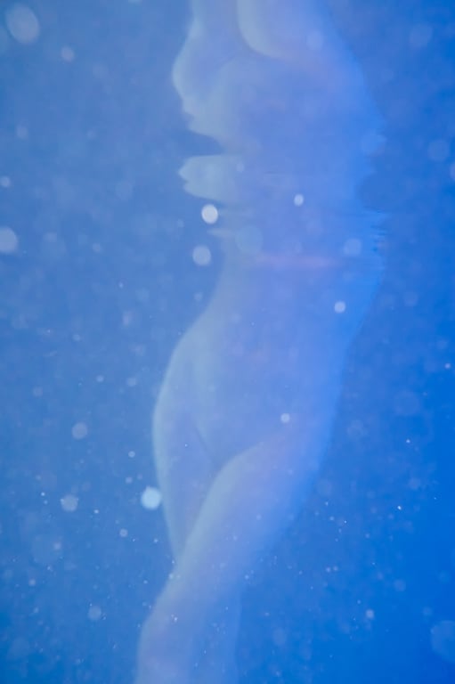 图片[58]-#Kyouka 京佳 – ESTRELLA (NO watermark) - 全本免费在线观看-阅图吧