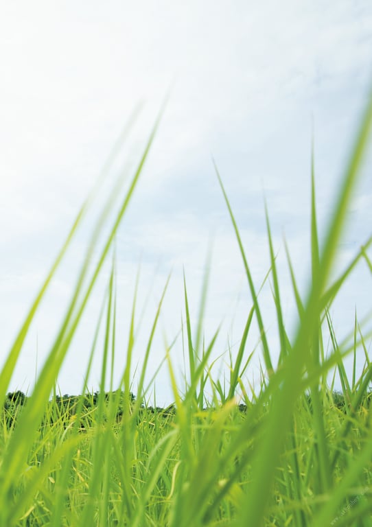 图片[65]-#Hikaru Aoyama 青山光 1st Photobook – Enneko 艳猫 (2020-11-18) - 全本免费在线观看-阅图吧