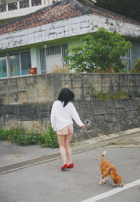 图片[113]-#小野惠令奈 – 傲娇！~归来的惠惠(18)~ (SR) - 全本免费在线观看-阅图吧