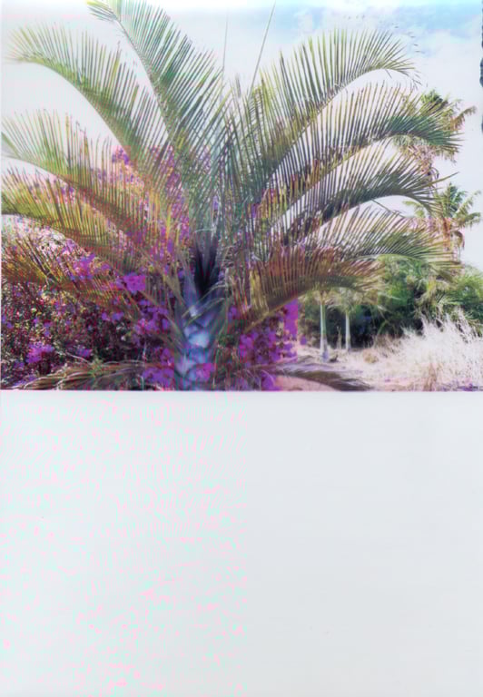 图片[170]-#釈由美子 – CHAOS - 全本免费在线观看-阅图吧