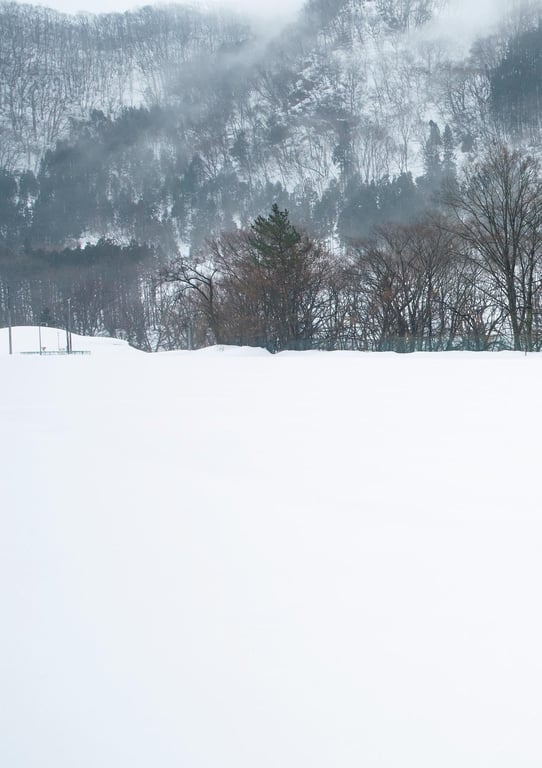 图片[77]-#Marina Nagasawa 长泽茉里奈 Goodbye Lolita Goodbye萝莉塔 (2019.11.20) - 全本免费在线观看-阅图吧